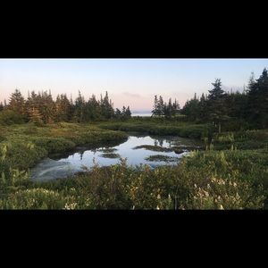 Meet your Posher, Trinity